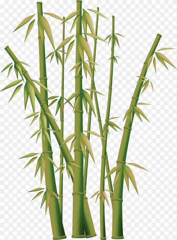 竹子免费内容夹艺术-绿色简约竹装饰图案