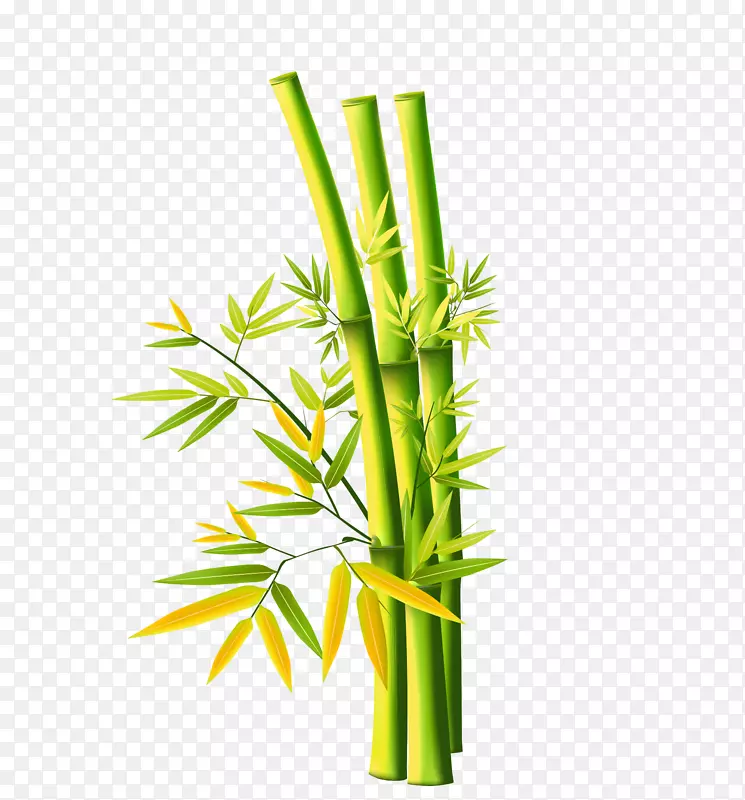 竹画画-绿色简约竹装饰图案