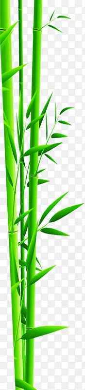 竹免费绿手漆绿竹
