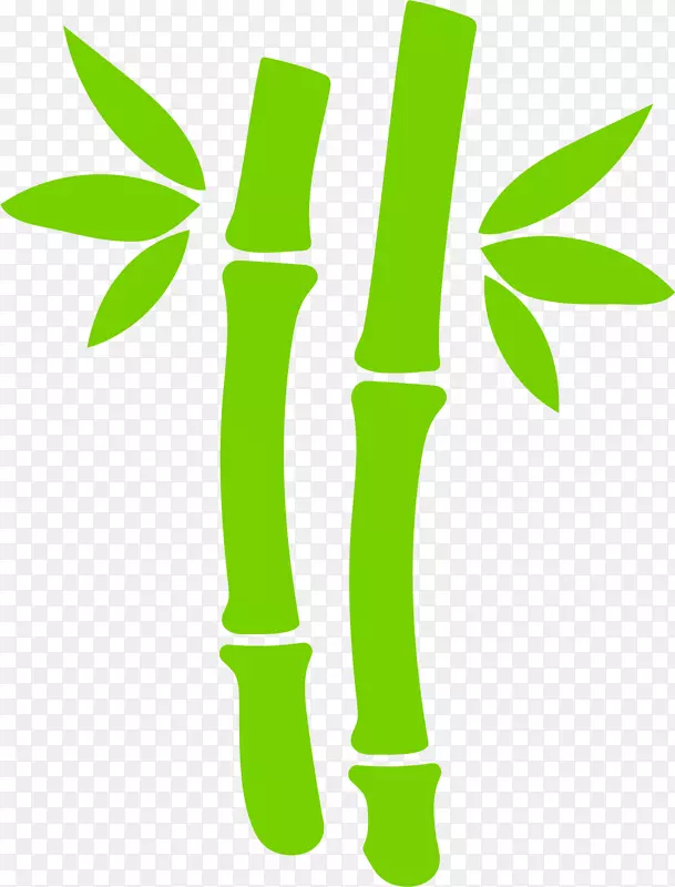 竹叶竹子手绘绿竹叶
