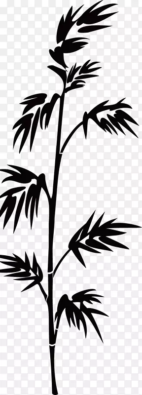 竹材轮廓-黑色竹轮廓