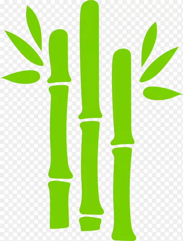 绿竹手绘绿竹叶