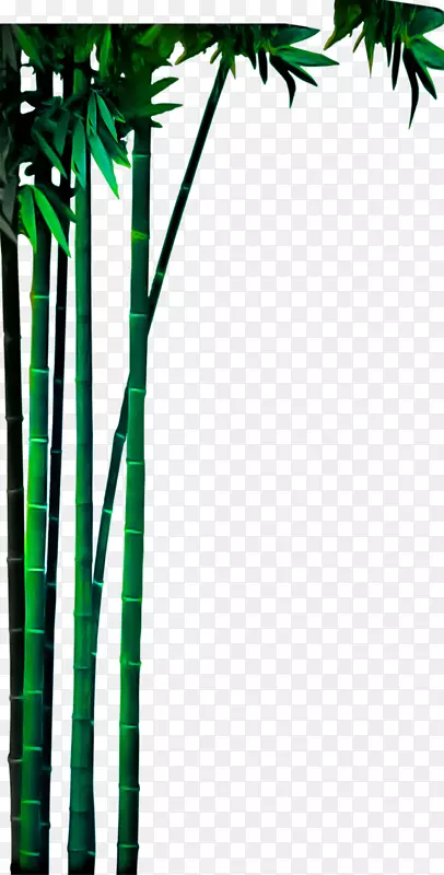 竹材绿色-真绿色竹材