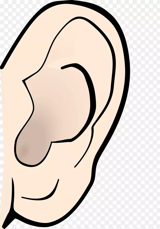 耳解剖听力尖耳夹艺术耳廓噪声剪