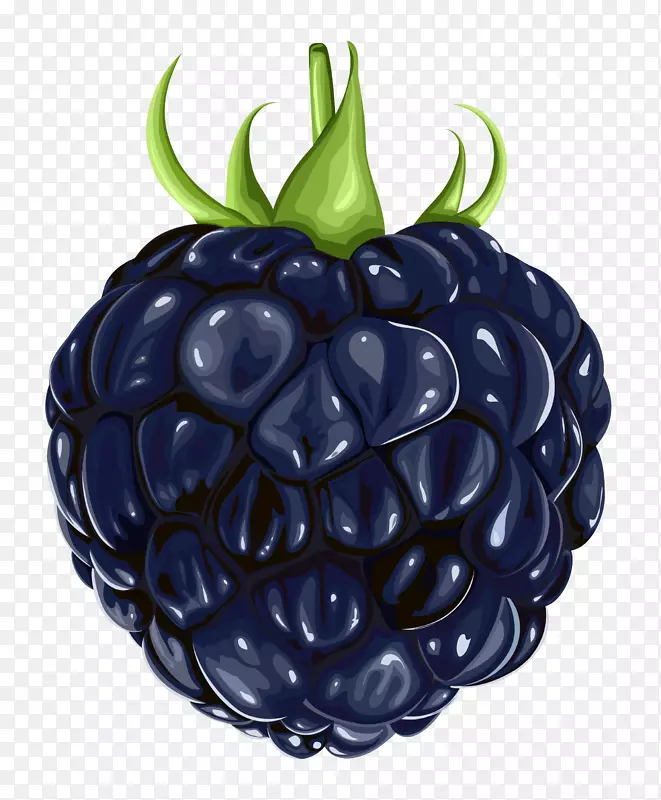 黑莓水果剪贴画-免费黑莓剪贴画