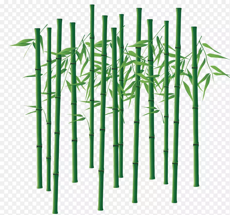 竹子.手绘竹材料