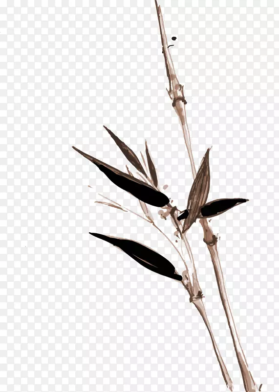 鸟竹-棕色竹