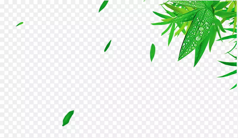竹叶绿-鲜绿竹叶