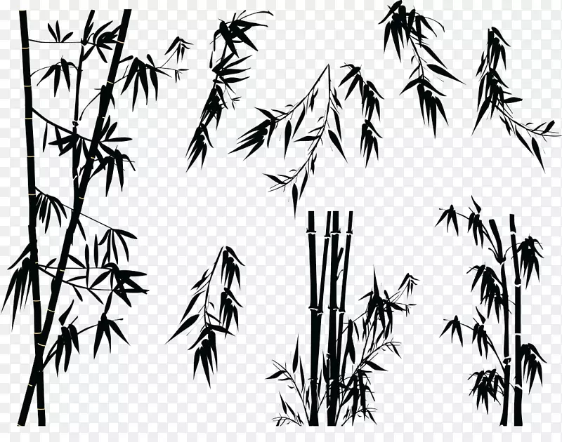 竹材剪影树插图-黑白竹