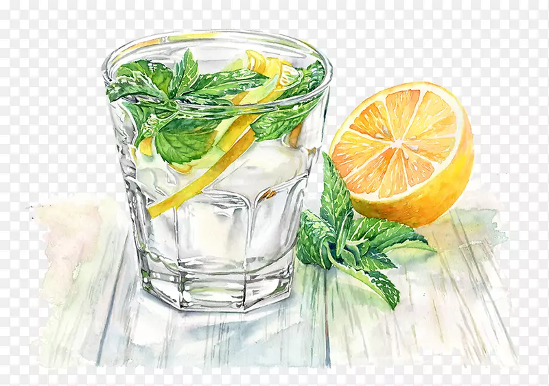 汽水鸡尾酒可口可乐柠檬水手绘玻璃水果柠檬