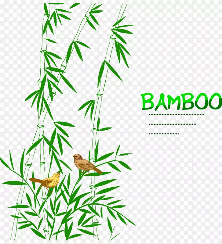 竹鸟画树.竹鸟装饰