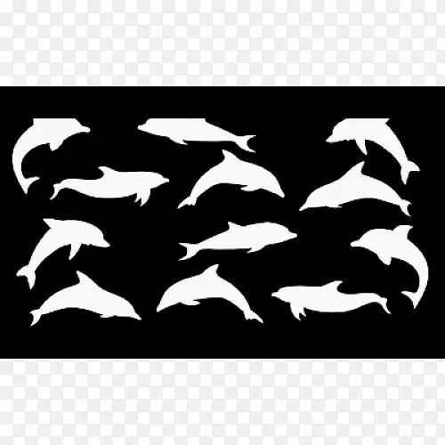 海豚免费内容剪辑艺术-dophin图片