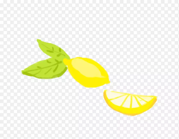 水彩画：鲜花水彩画柠檬手绘柠檬