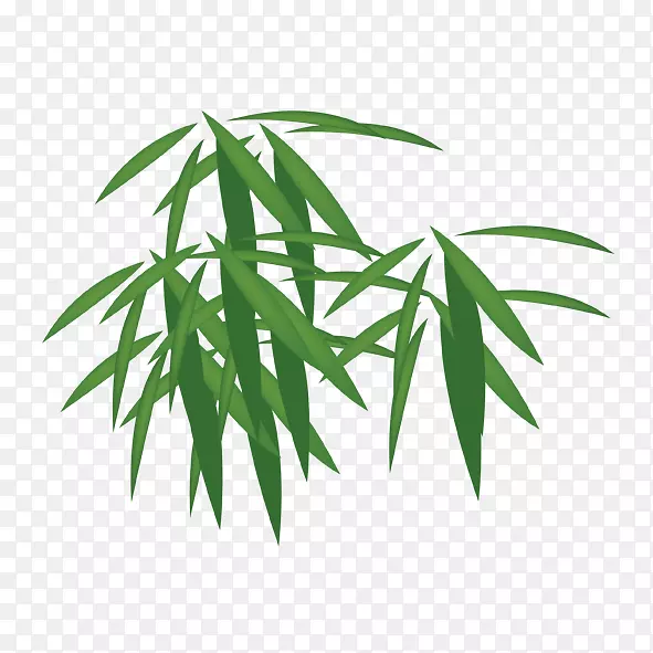 竹子下载-鲜绿竹叶