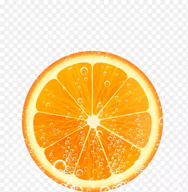 橙汁.柠檬葡萄柚.新鲜柠檬橙果实载体材料
