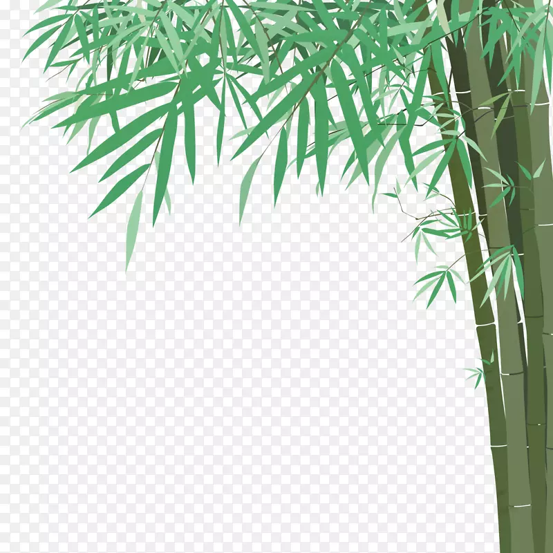 竹子绘图插图.手绘竹