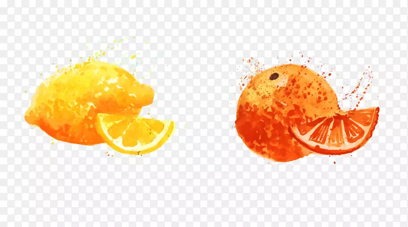 橘子水果奥格里斯食品卡通手绘橙色柠檬橙