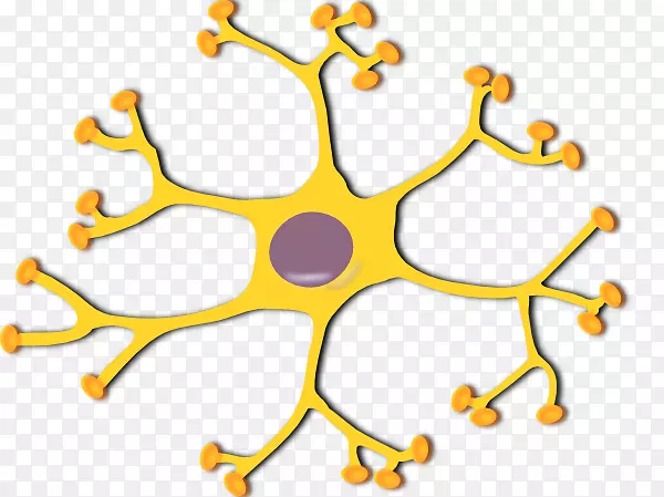 神经元运动神经元剪贴术-未标记显微镜图
