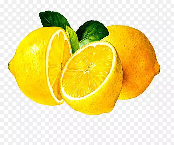 柠檬橙汁柠檬黄柠檬食品
