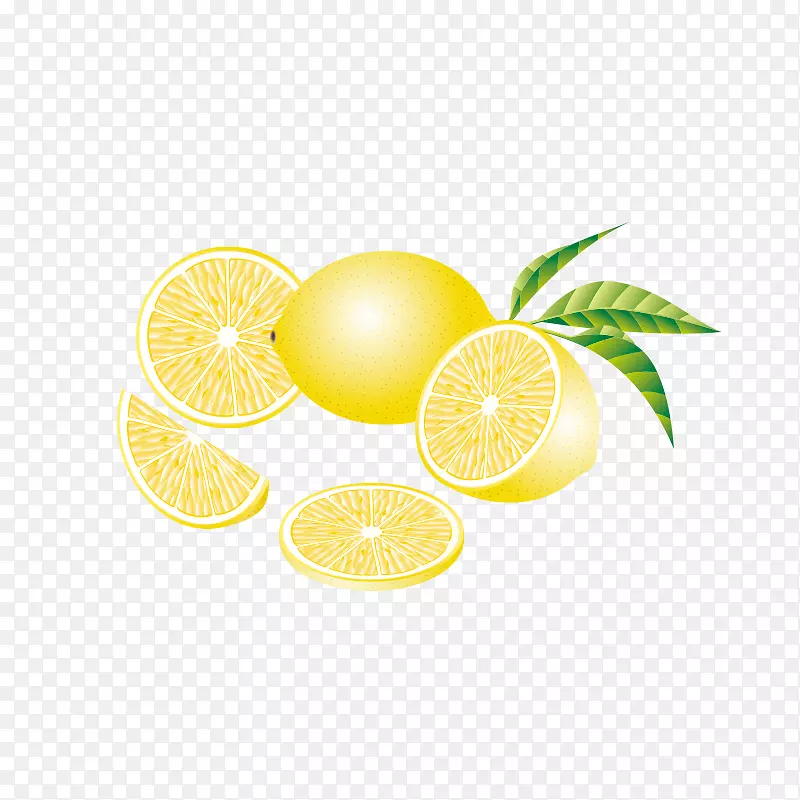 柠檬柚子葡萄柚手绘柠檬