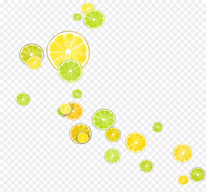 柠檬海报莱姆-很多柠檬片