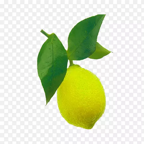 甜柠檬波斯酸橙主要石灰叶-一幅柠檬和叶子的图片