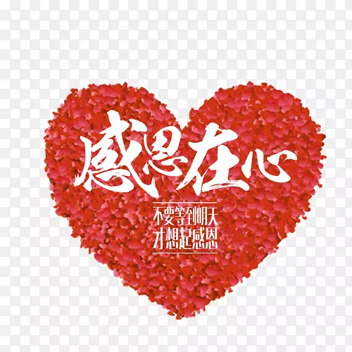 感恩节火鸡感恩圣诞感恩心