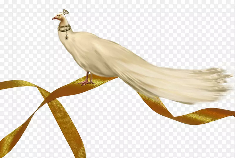 亚洲孔雀鸟夹艺术-金丝带