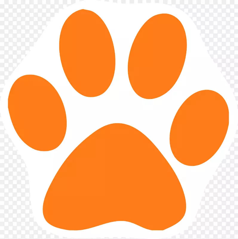 狗美洲狮爪夹艺术-橙色猫图片