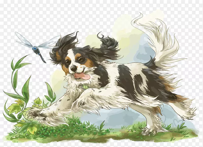骑士国王查尔斯猎犬英国春季猎犬彭布罗克威尔士犬品种-离开小狗