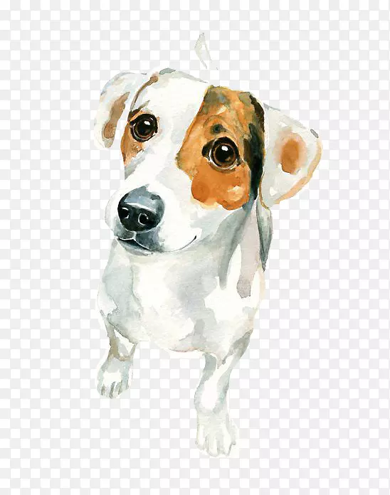 杰克罗素梗水彩画艺术-黄斑白色小狗