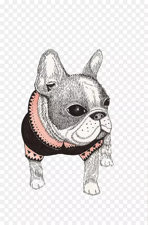 法国斗牛犬帕格波士顿猎犬插图-小狗动物装饰画