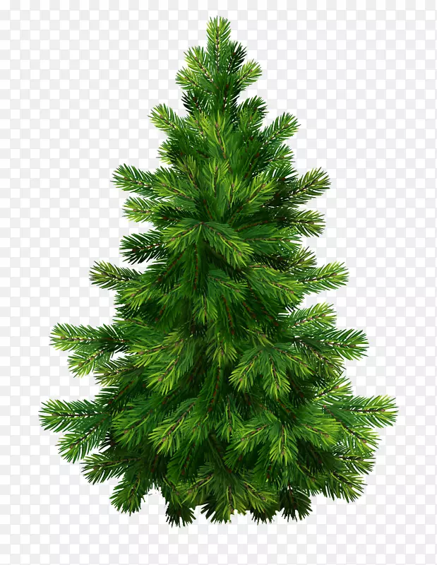 松树剪贴画-圣诞树