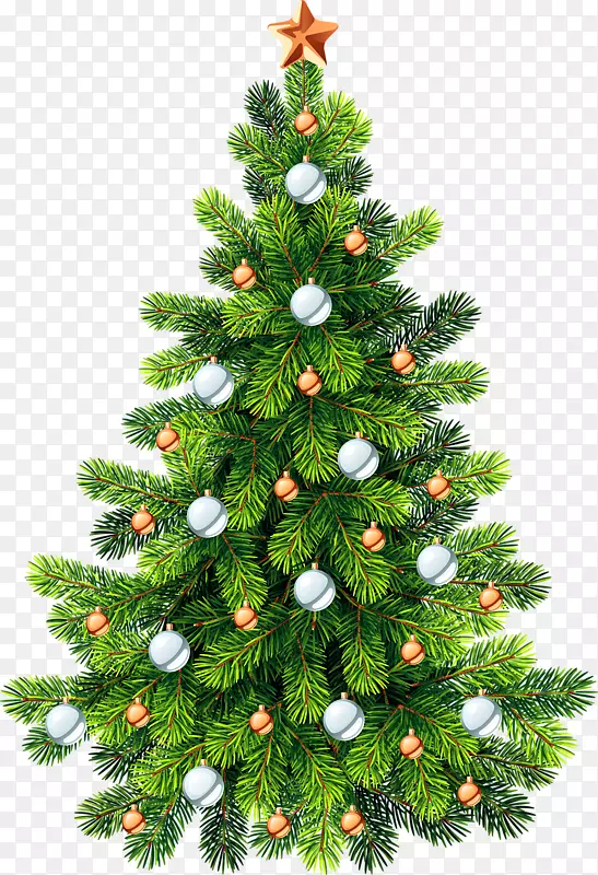 名贵冷杉圣诞树-绿色圣诞树