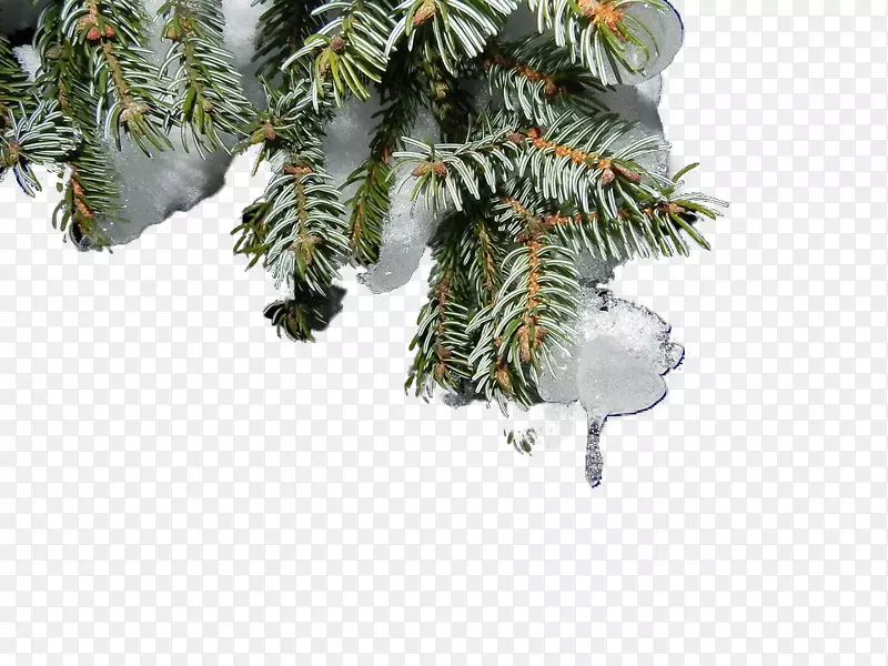 雪圣诞树-悬挂圣诞树雪