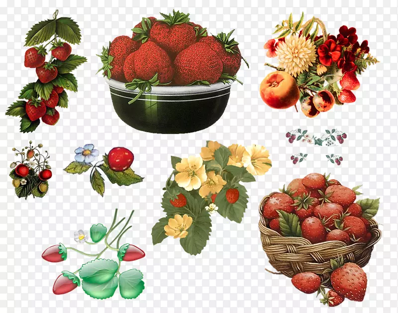 草莓剪贴画.手绘草莓