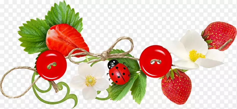 草莓阿摩罗多摄影集艺术手绘草莓