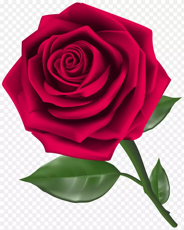玫瑰花红色剪贴画-三维玫瑰剪贴画
