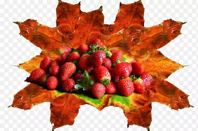 奥格里斯食物图像分辨率-新鲜草莓叶