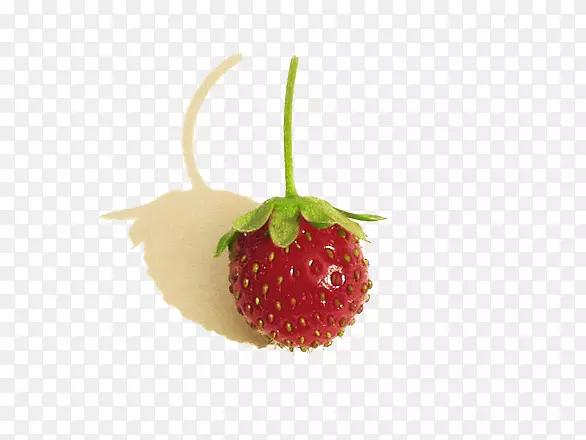 草莓果香-小草莓类照片