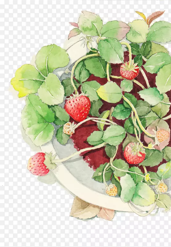 草莓水彩画技术