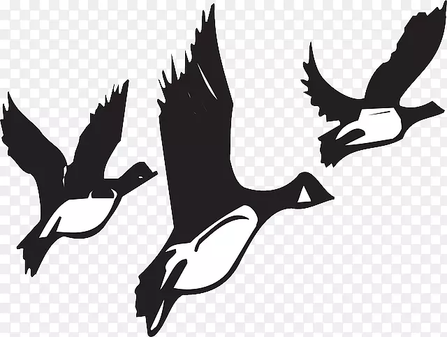 鹅鸟迁徙飞行剪辑艺术-动物迁徙剪贴画