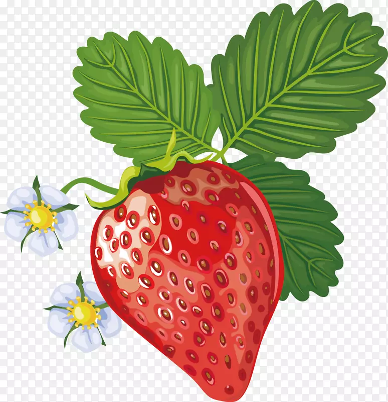 草莓配套水果.草莓装饰设计载体