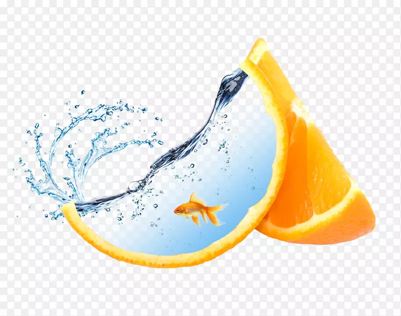 橙色桌面壁纸，水果，奥格里斯-橙子里面的鱼材料