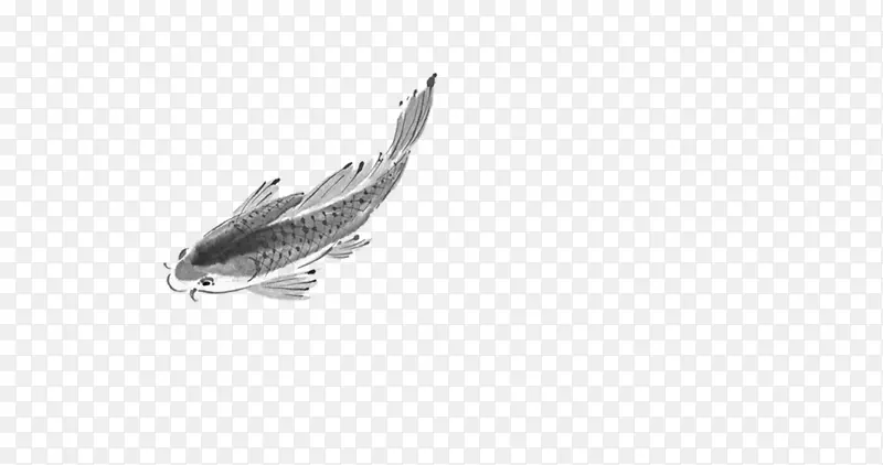 鸟类图形设计黑白墨鱼