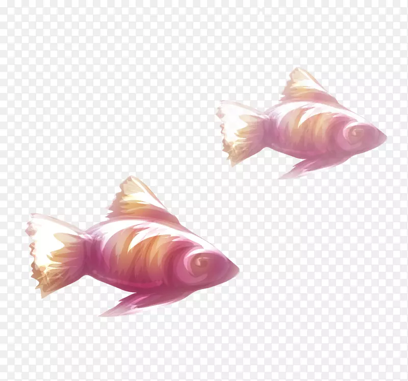 鱼类计算机文件-鱼