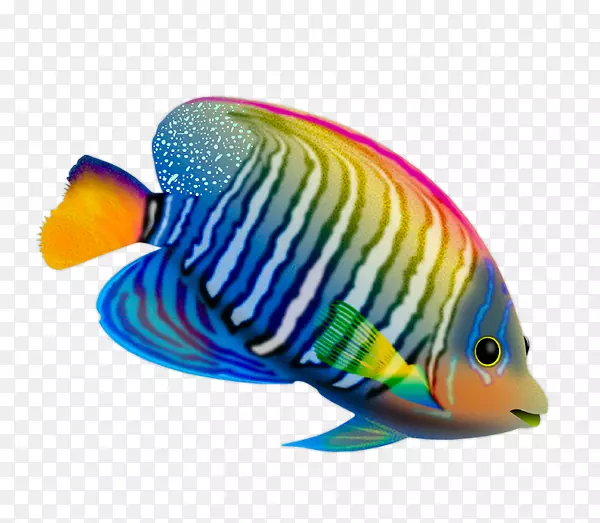 桌面壁纸鱼活电脑彩色鱼