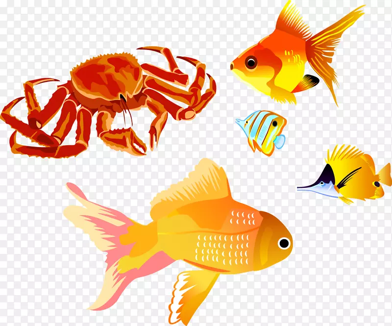 红王蟹夹艺术-鱼