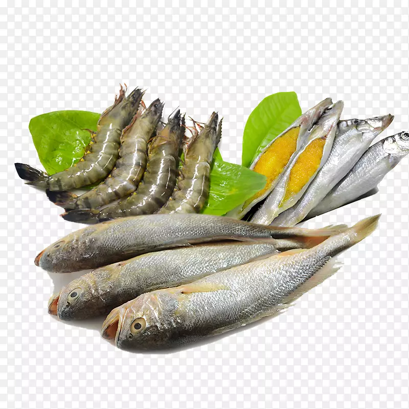 Caridea sashimi鱼海鲜-鱼和海鲜