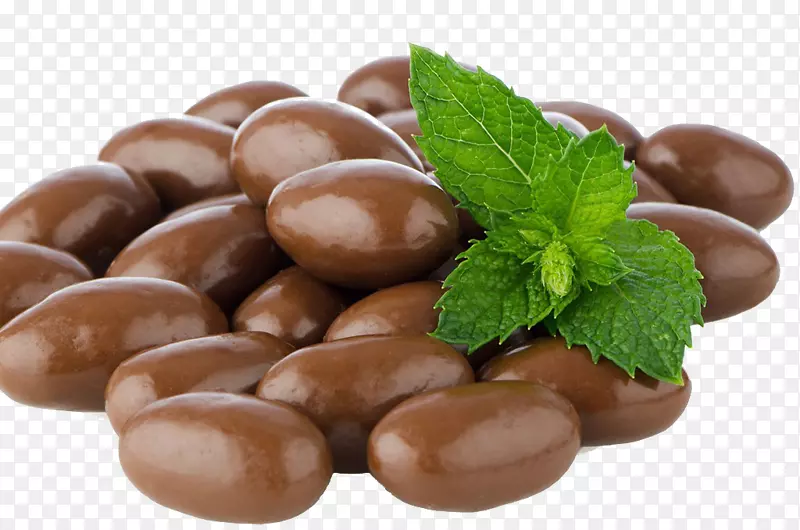 可可豆巧克力可可豆